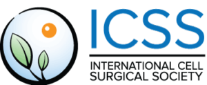 ICSS Logo