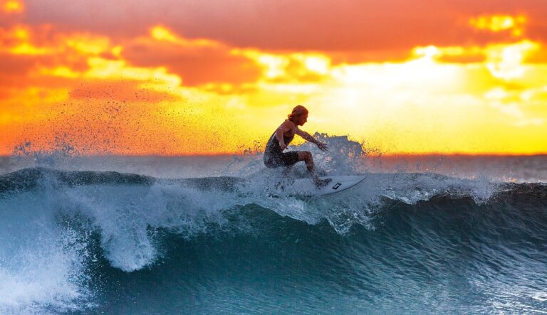 surfing, nature, sunset-2212948.jpg